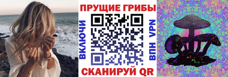 Псилоцибиновые грибы ЛСД  сайты даркнета формула  Гурьевск 