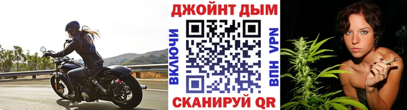 Бошки Шишки MAZAR  Гурьевск 